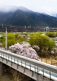 青島除塵設備,青島廢氣治理,青島廢氣處理,青島污水處理,青島污水處理設備